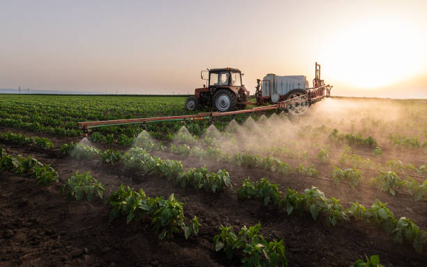 Best Insect Control  in Palatka, FL