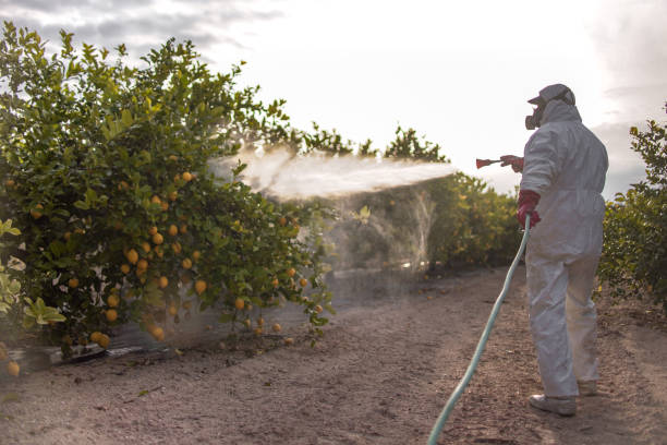 Best Pest Control Treatment  in Palatka, FL